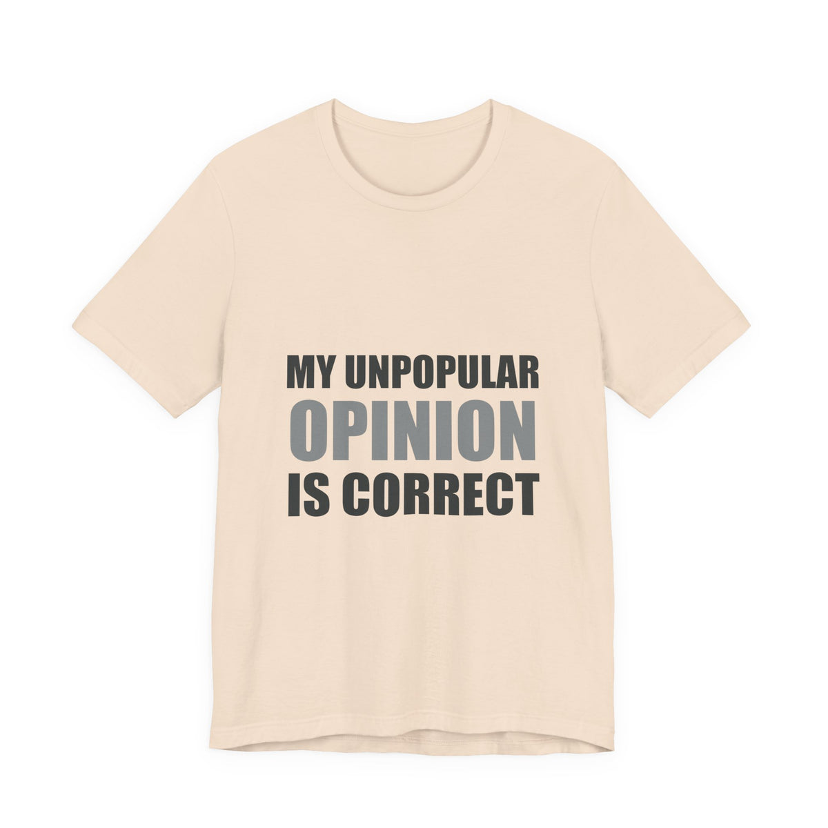 My Unpopular Opinion Is Correct | Funny Debate Tee