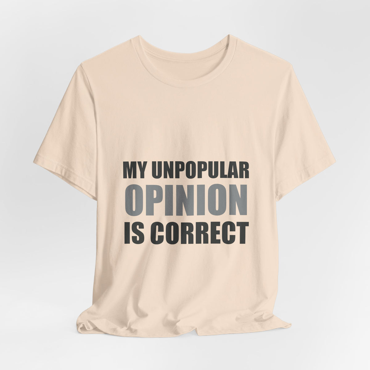 My Unpopular Opinion Is Correct | Funny Debate Tee