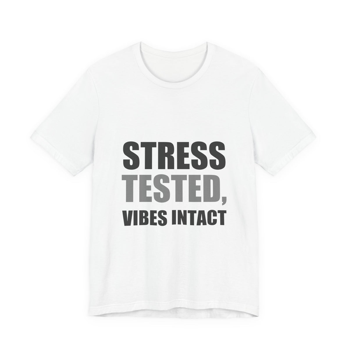 Stress Tested Vibes Intact | Funny Sarcasm Tee | Gift