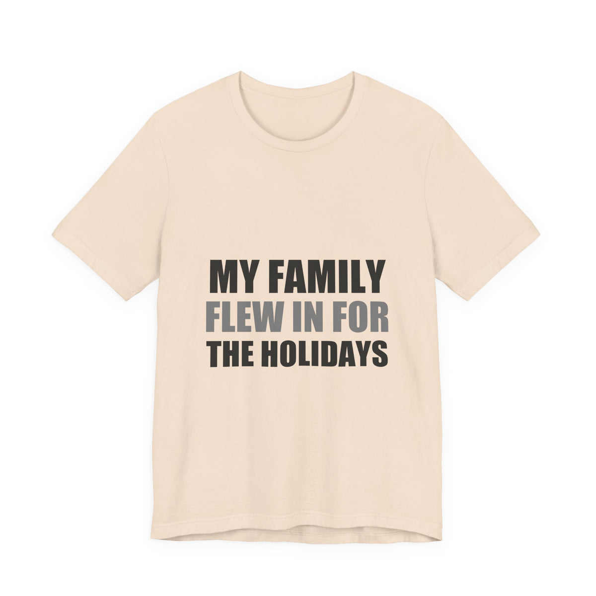 My Family Flew In For The Holidays | Alien Tee | Funny Space Gift