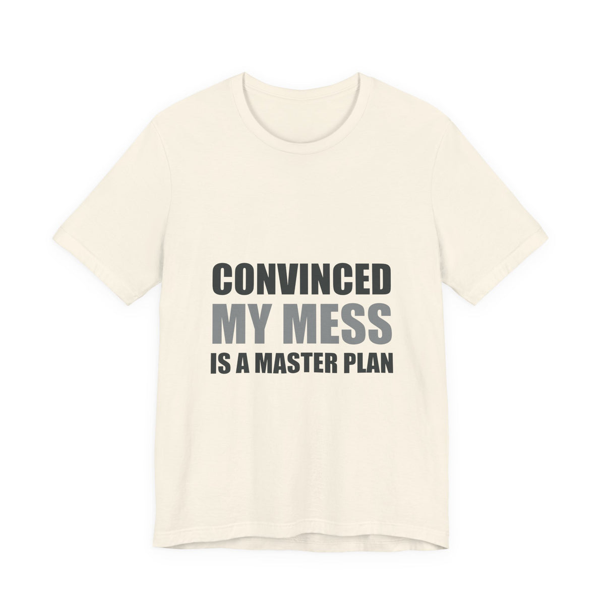 Convinced My Mess Is A Master Plan Tee | Hopeful Denial