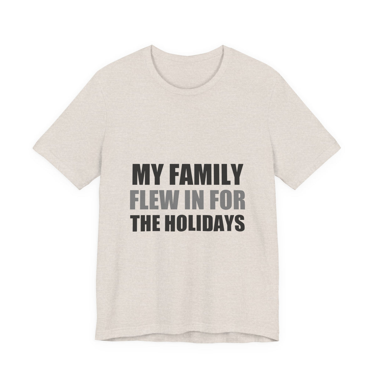My Family Flew In For The Holidays | Alien Tee | Funny Space Gift