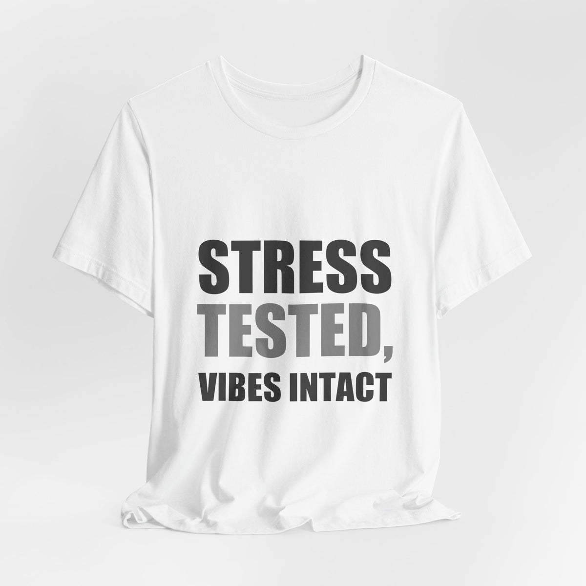 Stress Tested Vibes Intact | Funny Sarcasm Tee | Gift