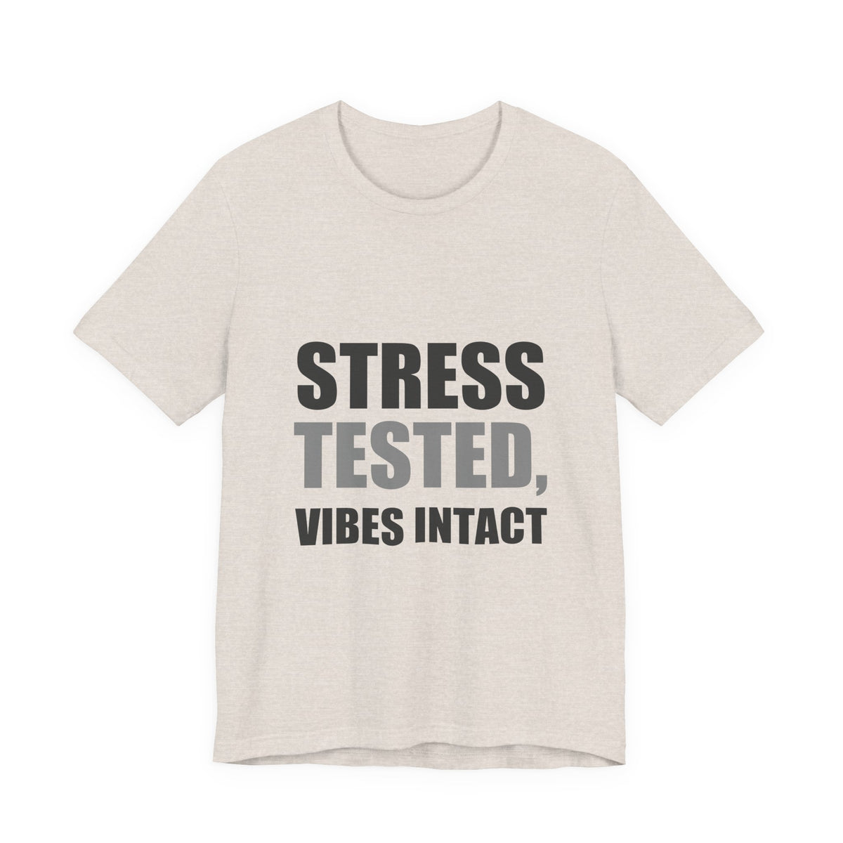Stress Tested Vibes Intact | Funny Sarcasm Tee | Gift