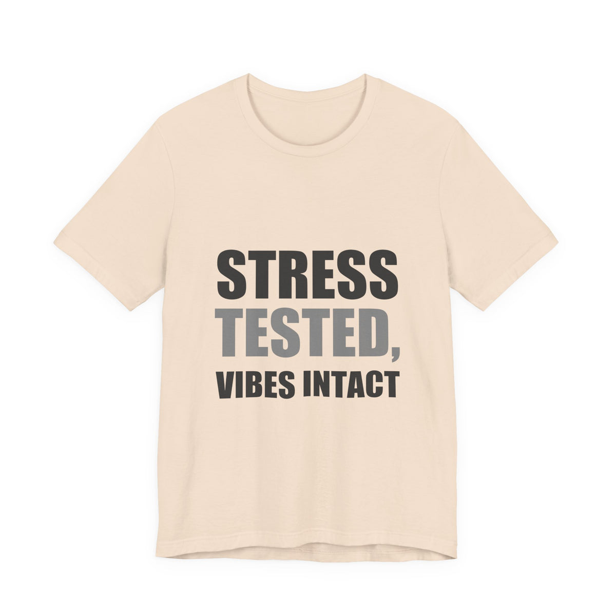 Stress Tested Vibes Intact | Funny Sarcasm Tee | Gift