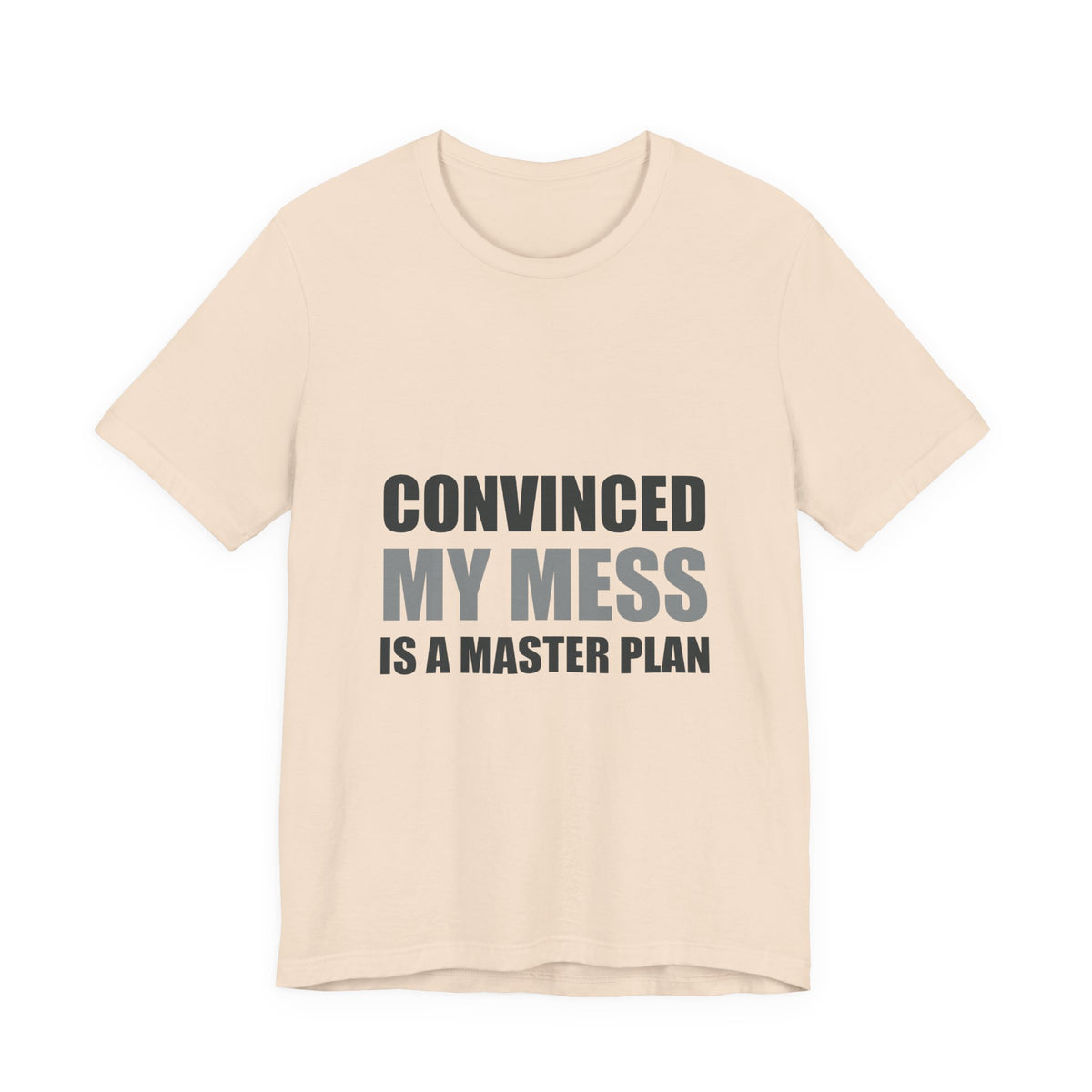 Convinced My Mess Is A Master Plan Tee | Hopeful Denial