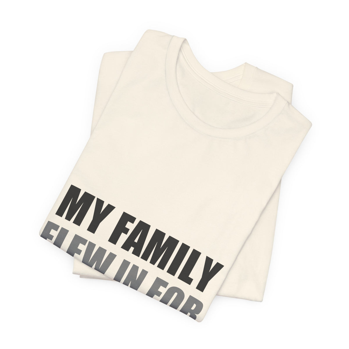 My Family Flew In For The Holidays | Alien Tee | Funny Space Gift