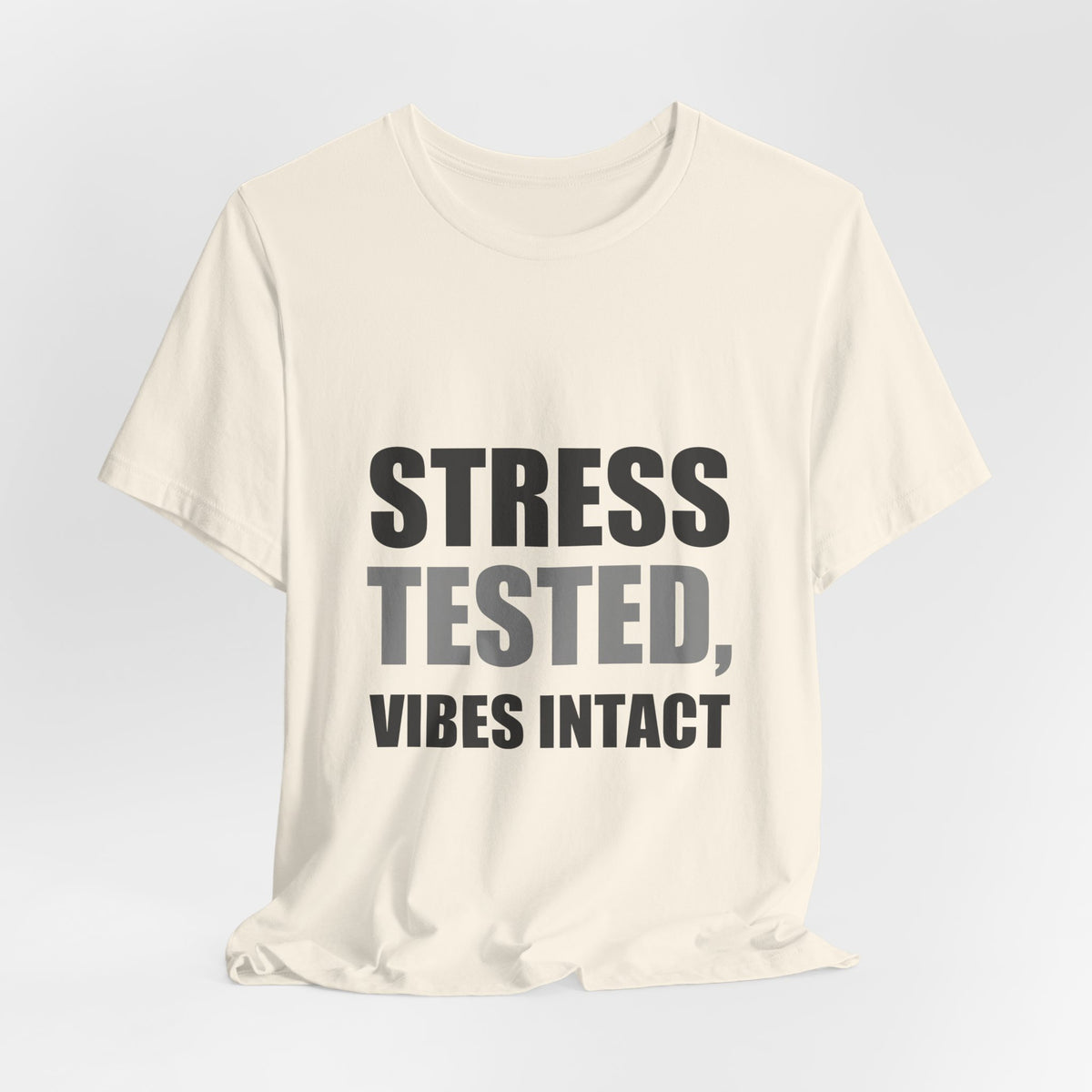 Stress Tested Vibes Intact | Funny Sarcasm Tee | Gift
