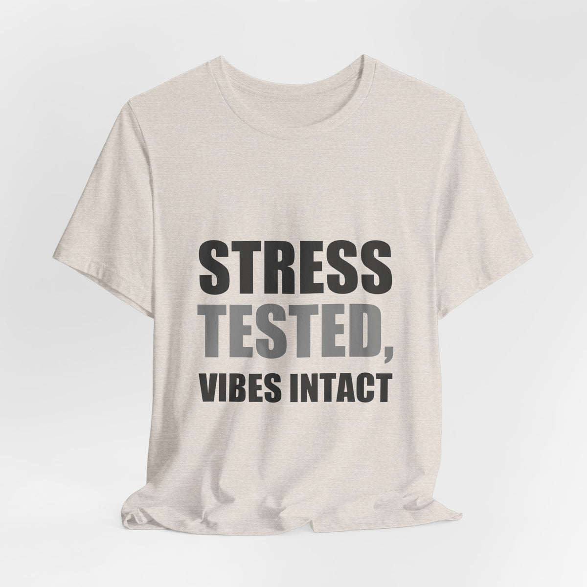 Stress Tested Vibes Intact | Funny Sarcasm Tee | Gift