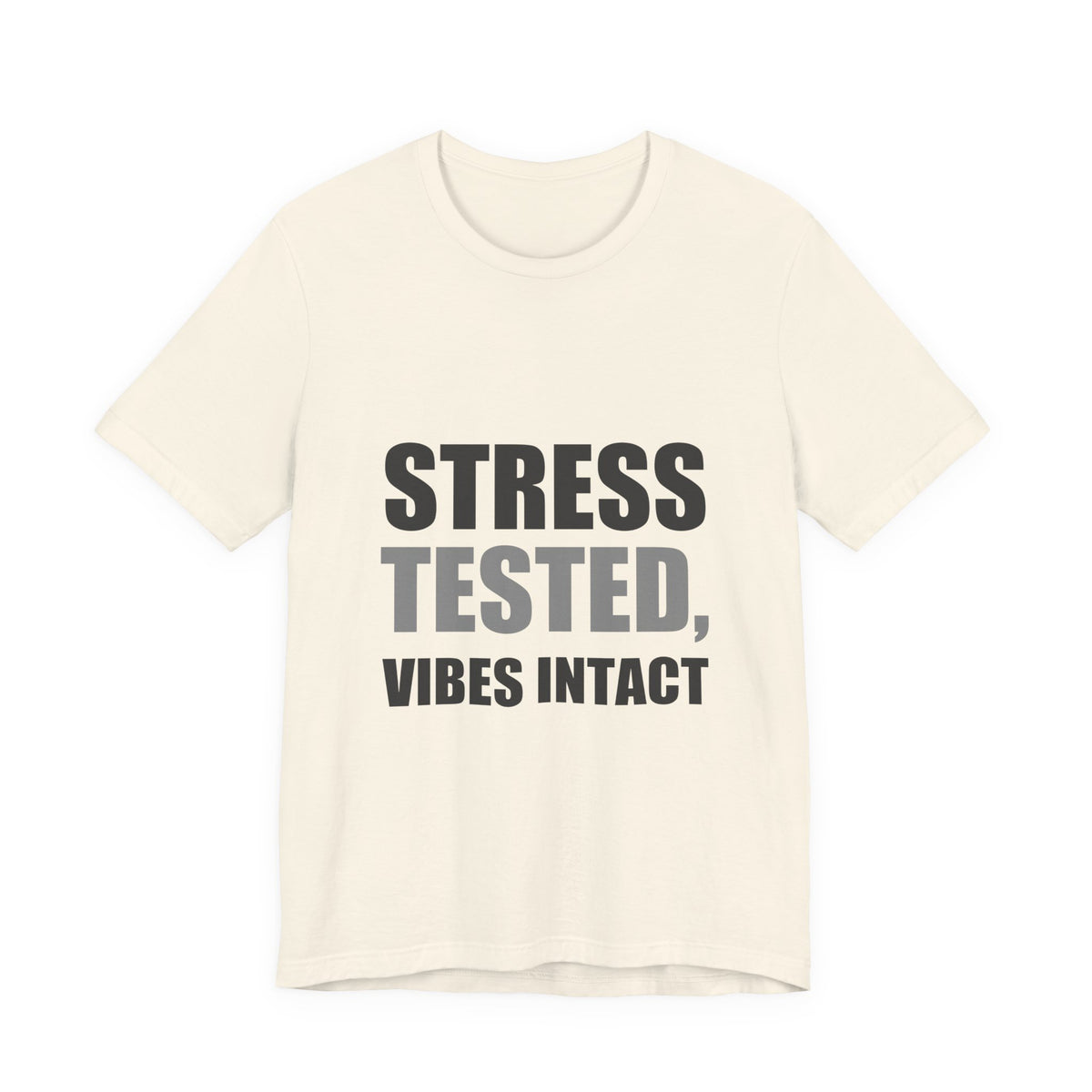 Stress Tested Vibes Intact | Funny Sarcasm Tee | Gift
