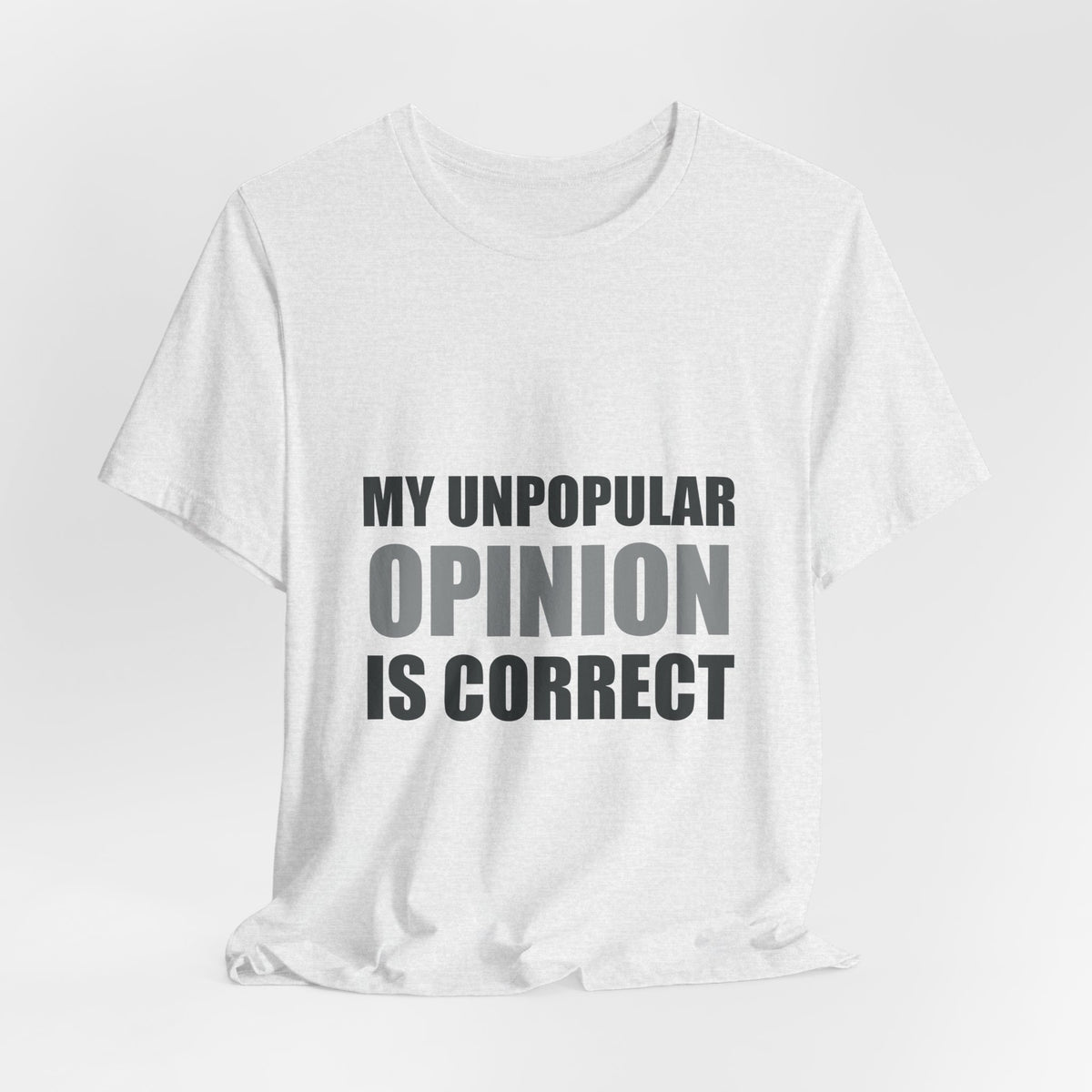 My Unpopular Opinion Is Correct | Funny Debate Tee