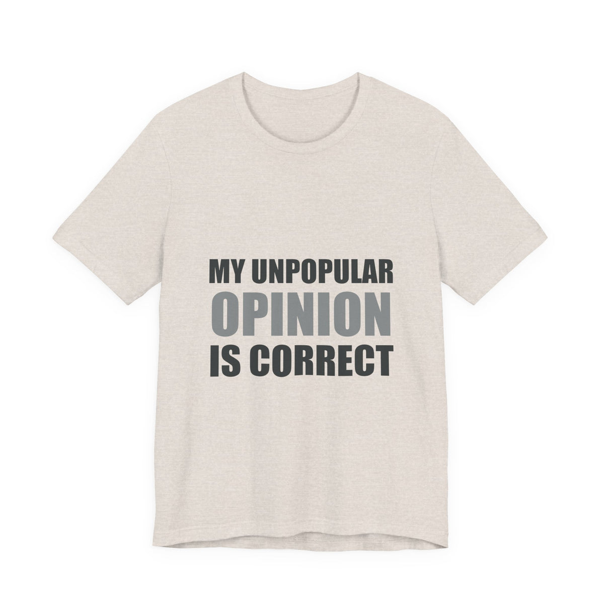 My Unpopular Opinion Is Correct | Funny Debate Tee
