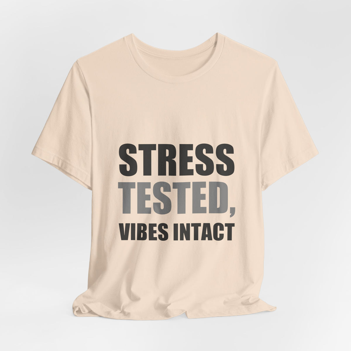 Stress Tested Vibes Intact | Funny Sarcasm Tee | Gift